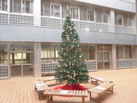 ＰＴＡ文教育成委員会によるクリスマスツリー